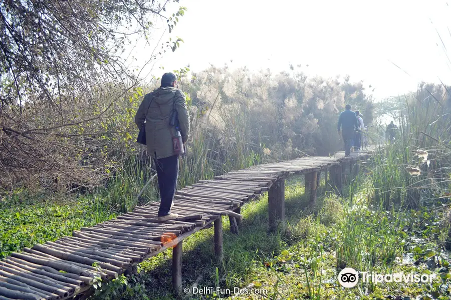 Okhla Bird Sanctuary