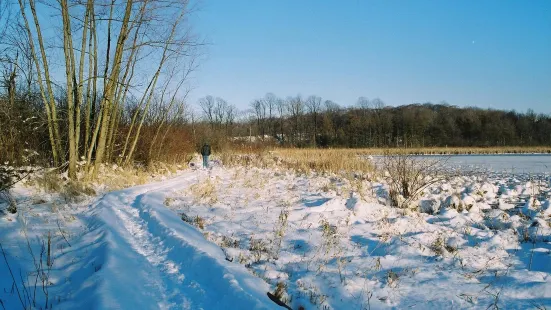 J. Arthur Herrick Fen Nature Preserve