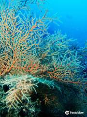 Centro de Buceo Branquias en Carboneras Almería