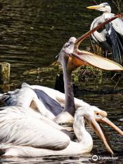 Zoologischer Garten Schwerin