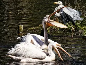 Zoo Schwerin