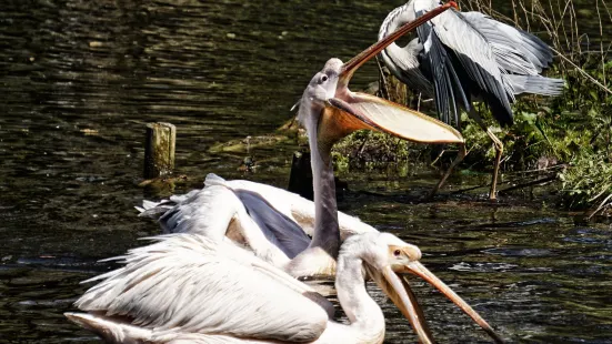 Zoo Schwerin