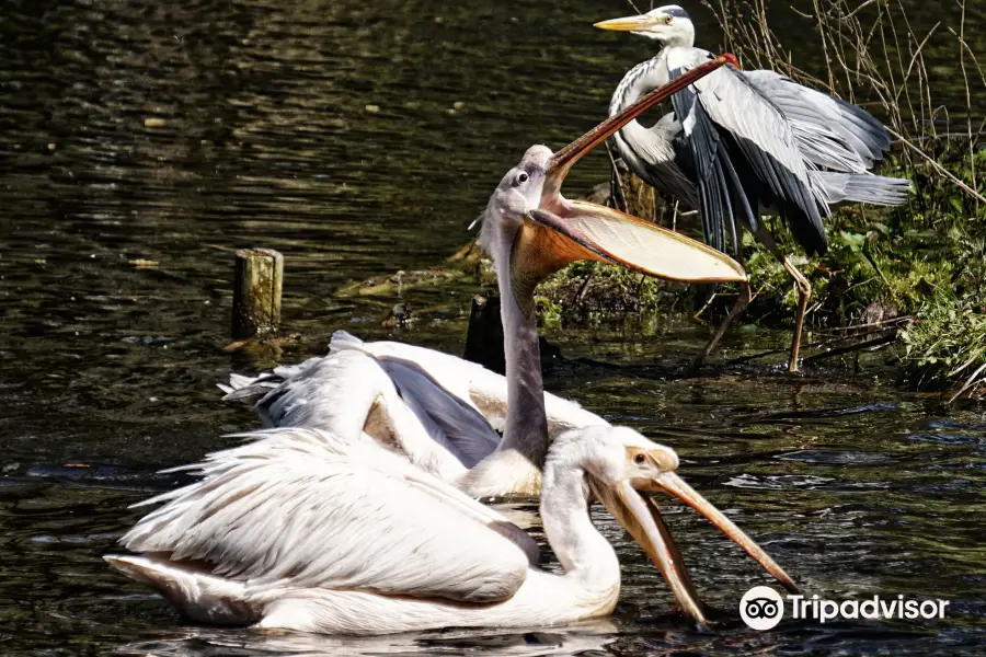 Zoologischer Garten Schwerin