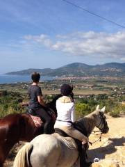 Agriturismo I Moresani, Passeggiate, escursioni e trekking a cavallo.