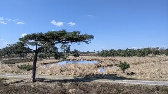 Grenspark Kalmthoutse Heide