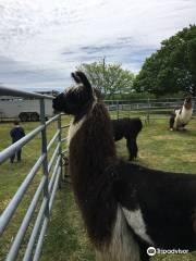 Hallockville Museum Farm