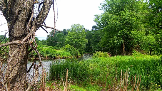 Alan E. Rich Environmental Park