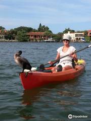 Sea Life Kayak Adventures