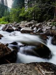 Weller Lake Trail