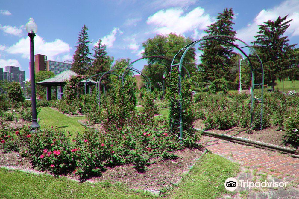 E.M. Mills Rose Garden