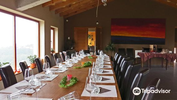 Rojac Istra Slovenija Winery