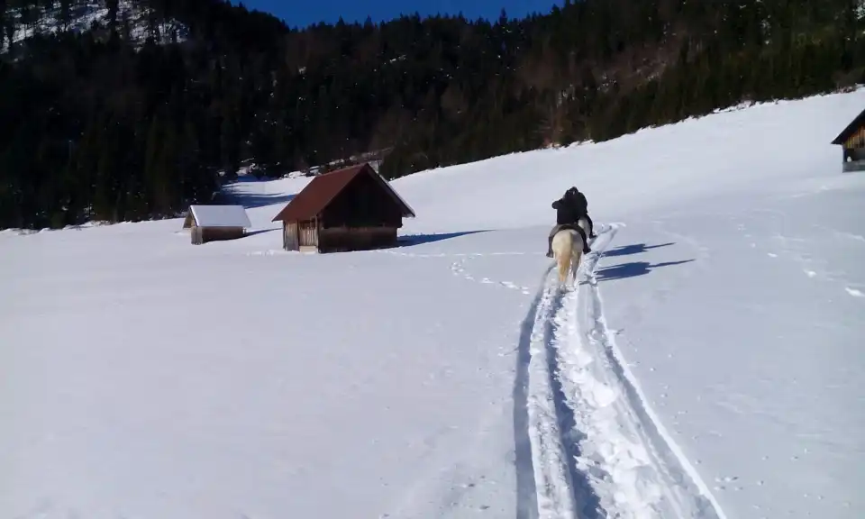 4_Farm at Kolenc