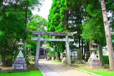 日向市
