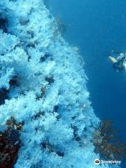 Dive Academy Fiji