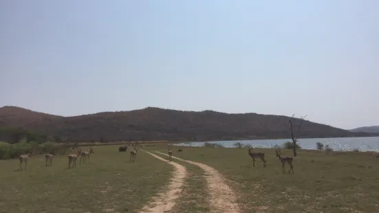 Loskop Dam Nature Reserve