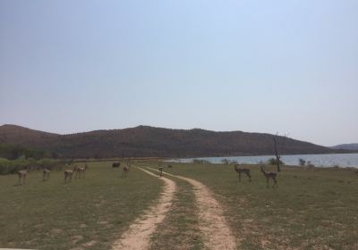 Loskop Dam Nature Reserve