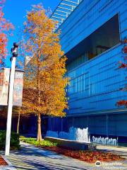 Shaw Center for the Arts