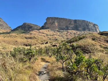 Gaints Castle Game Reserve