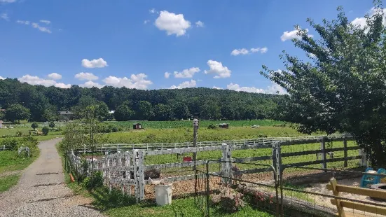 Brookhollows Barnyard