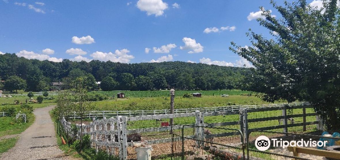 Things to Do in Boonton Township in 2024 Top Attractions, Local Food