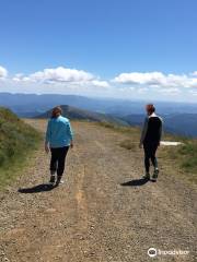 Mary's Peak Trail