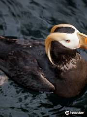 Living Coasts