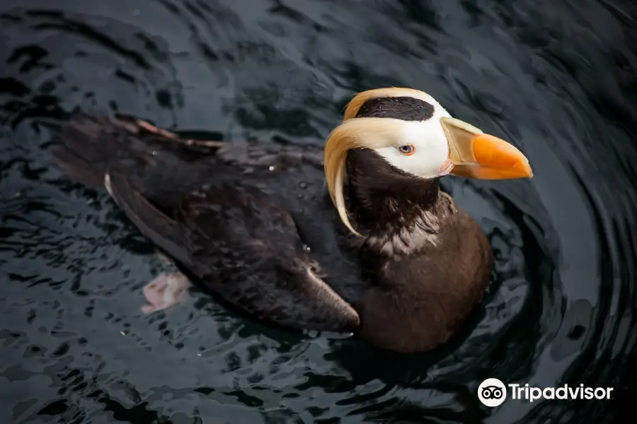 Living Coasts