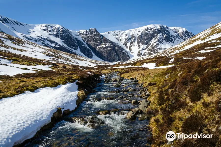 Creag Meagaidh National Nature Reserve