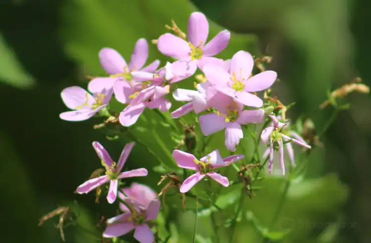 Hotels in Adams County