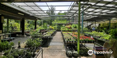 Jingu Leisure Farm