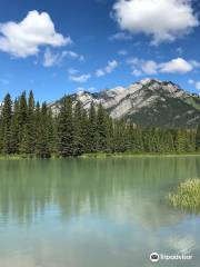 Bow River Trail