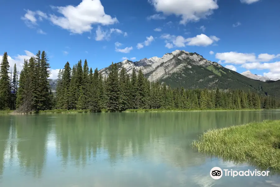 Bow River Trail