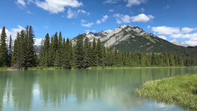 ボウ フォールズ周辺のホテル