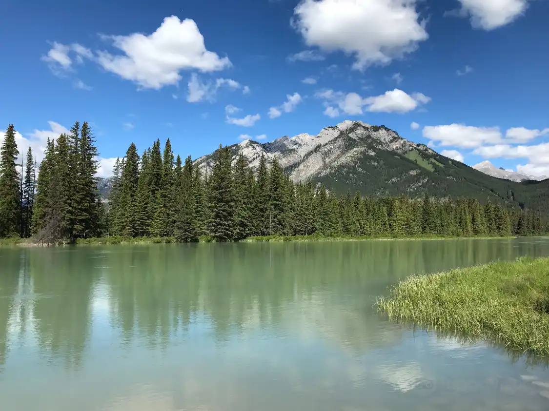 Hotels near Bow River Trail