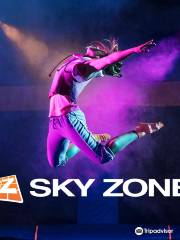 Sky Zone