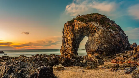 Horse Head Rock