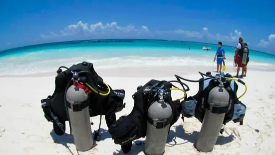 Bahia Divers