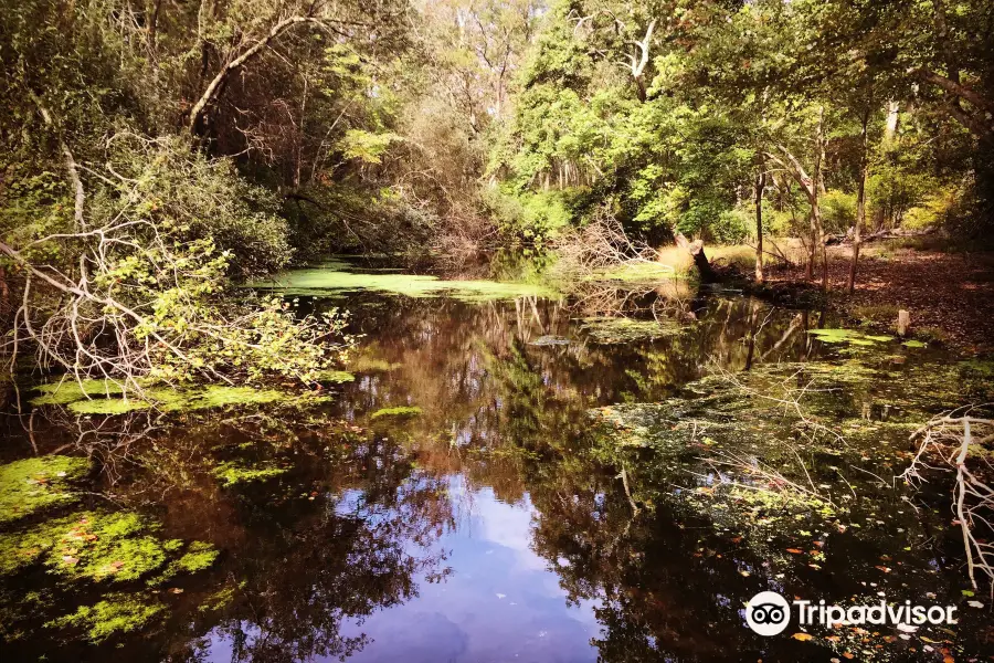 Caleb Smith State Park