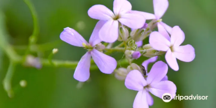 Rogers Reservoir Conservation Area
