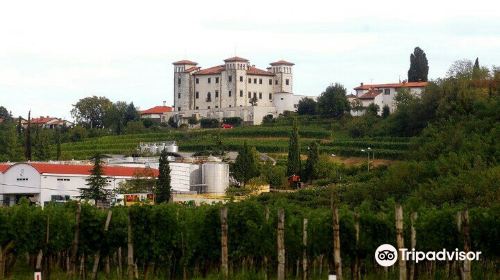 The Dobrovo Castle