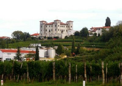 The Dobrovo Castle