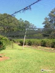 Clyde River Berry Farm