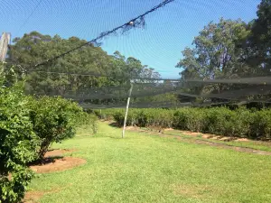 Clyde River Berry Farm