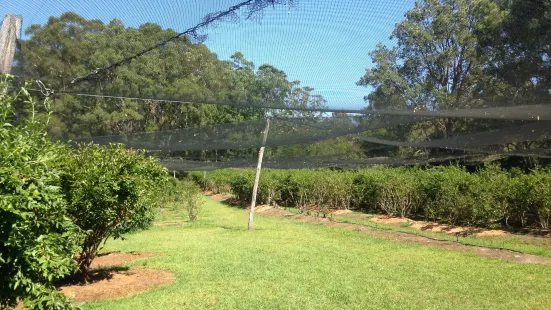 Clyde River Berry Farm