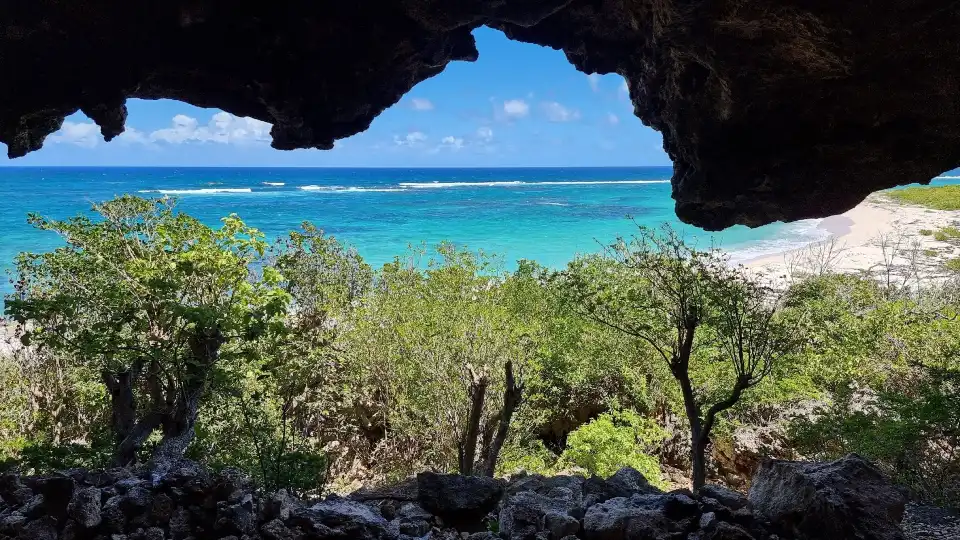 2_Barbuda Express