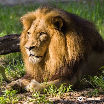 Jacksonville Zoo and Botanical Gardens