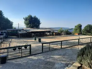 Bat Ya'ar Ranch