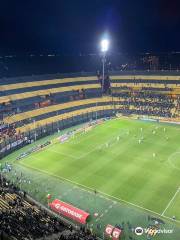 Estadio Campeón del Siglo