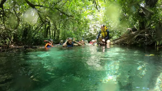 Aquario Encantado