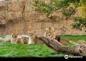 博瓦勒動物園